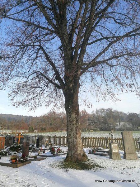 Friedhof Markdorf Allgäu Baden Württemberg Bodensee Trauerfeier Beerdigung Verabschiedung Vorarlberg Musik Kirche Trauersängerin Sängerin mit Gitarre www.trauer-musik.at www.gesangundgitarre.at Gesang Gitarre Yvonne Brugger Trauersängerin Kirchensängerin
