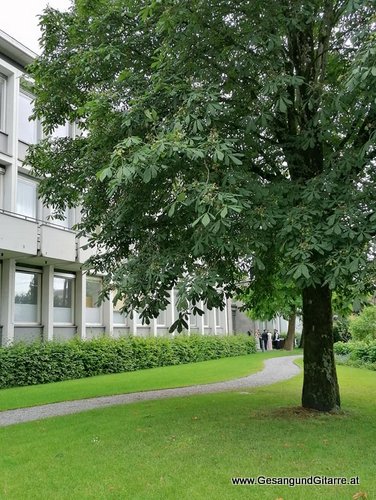 Sängerin Hochzeitssängerin Yvonne Brugger Trauung Hochzeit Musik Vorarlberg Standesamt Lustenau