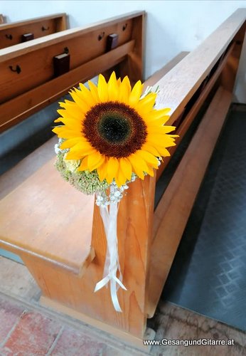 Musik Hochzeitssängerin Sängerin Vorarlberg Hochzeit Trauung Schweiz Hohentannen